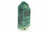 Lustrous, Blue-Green Fluorapatite Crystal - New Find! #243398-1